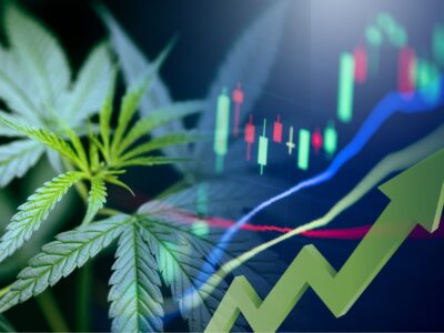 Top 4 Marijuana Stocks