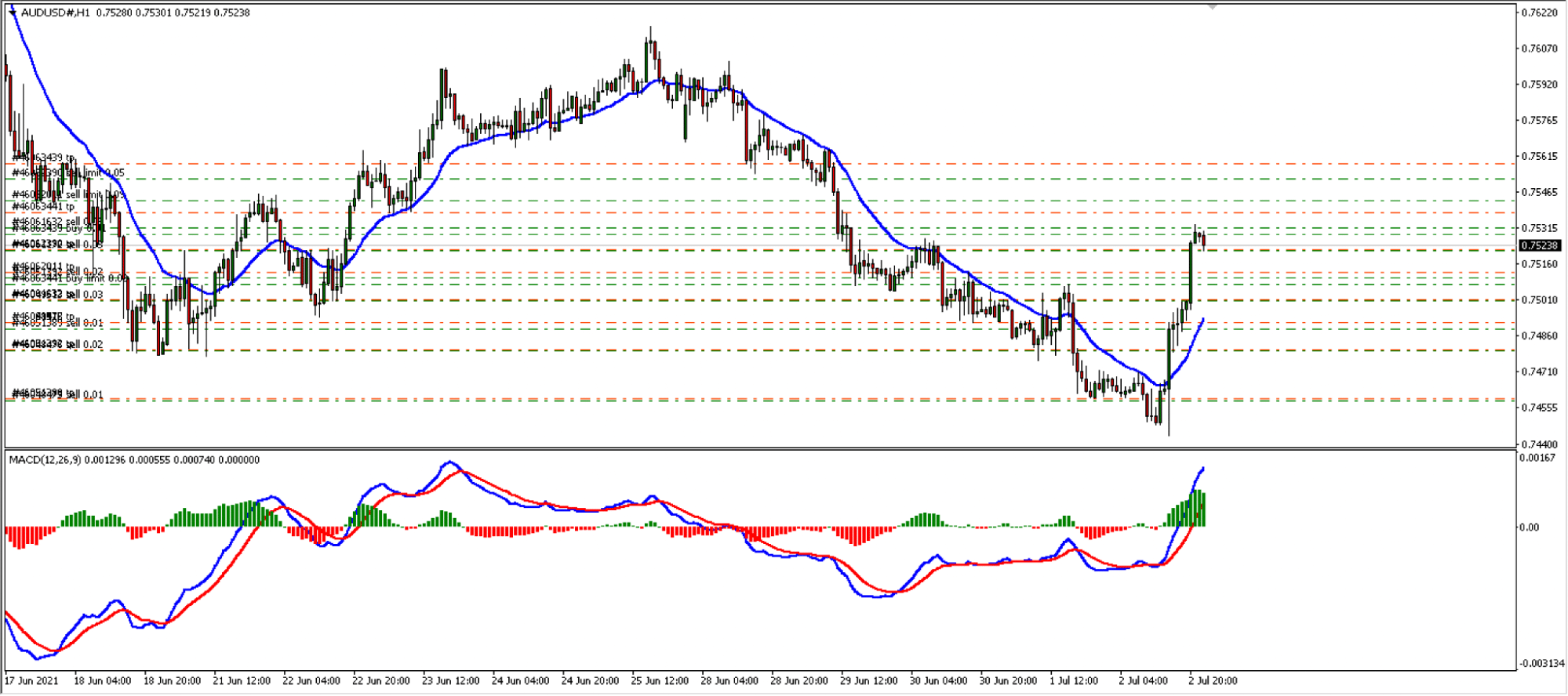 MT4 interface of an FX trading mechanical person.